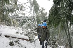 国网浙江电力启动预防雨雪冰冻天气蓝色预警