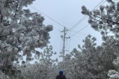 南方电网云南曲靖会泽供电局：全力做好低温雨雪冰冻天气电力保供工作