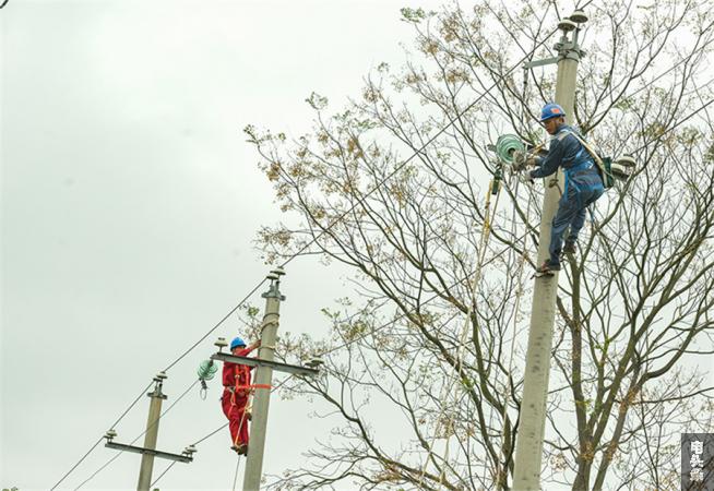 配电检修专业对垒