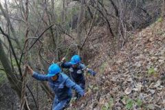 南方电网云南曲靖宣威供电局：扎实开展线路特巡 提升供电可靠性