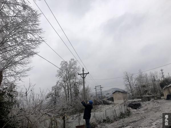 用手机拍照，记录下导线、绝缘子覆冰情况