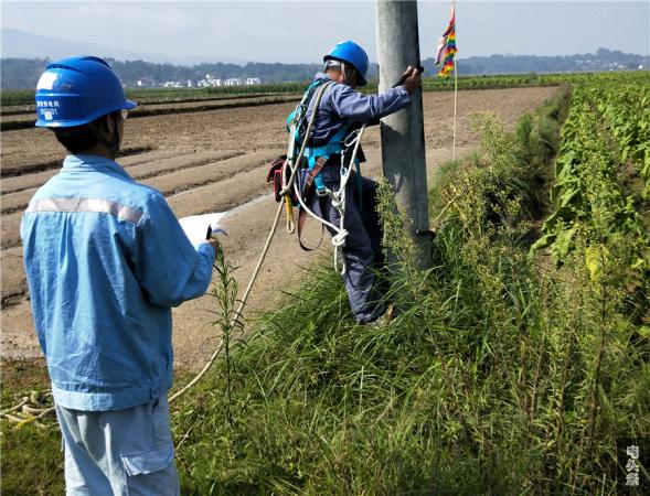 景罕供电所以“实践”促“实练”3