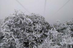 冰雪来袭  南方电网云南曲靖供电局全力打好供电“保卫战”