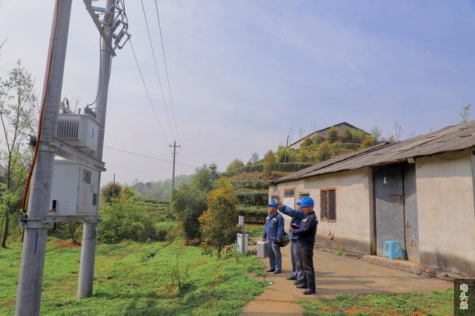 项目建成投运后，供电人员加强对设备、线路的巡视，全力保障茶厂生产用电。（陈娟 摄）