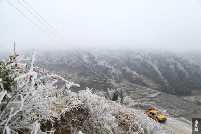 党旗飘扬，牢记使命，在冰雪中砥砺前行（贵州电网都匀贵定供电局陈文豪） (1)