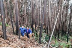 云南曲靖罗平供电局联合多单位推进防山火与生态修复工作 助百姓增收