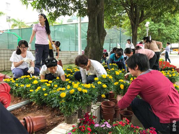 该局女职工纷纷卷起袖子参与添绿活动中（莫莹）